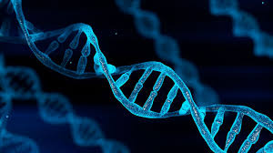 dna work