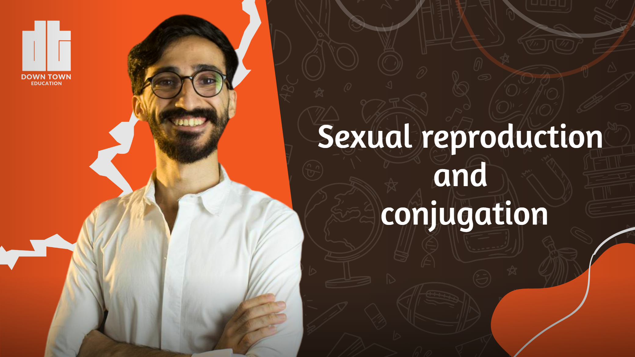 Sexual reproduction and conjugation