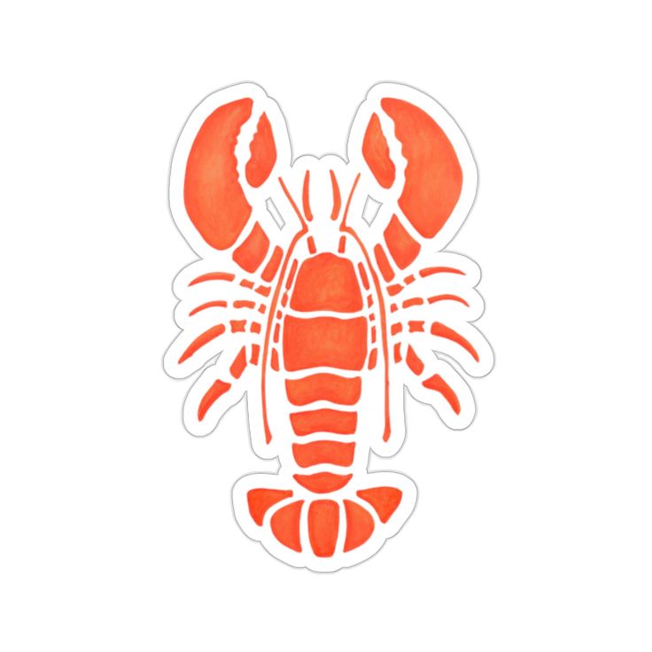 REPRODUCTION IN LIVING ORGANISMS