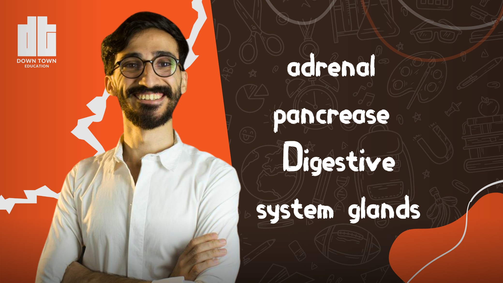 ADRENAL-PANCREASE